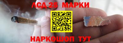 МДПВ Можга