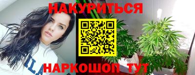 прущие крисы Моздок